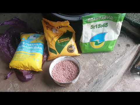 Видео: Подготовка к основному кормлению. Ликбез по удобрениям в двух словах.