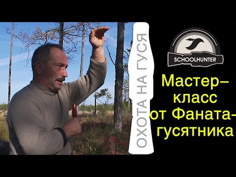 Видео: Про белолобых от Фаната-гусятника