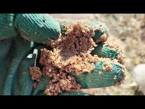 Видео: Снт Ветеран полное бурение абиссинки