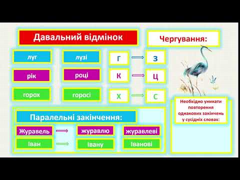 Видео: ВІдмінювання іменників ІІ відміни