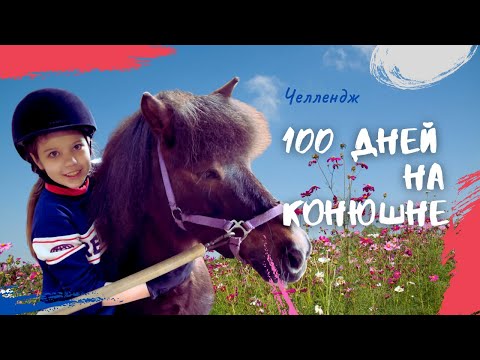 Видео: КОНОБЛОГ// ВПЕРВЫЕ выход в поля и стрижка лошади // ЧЕЛЛЕНДЖ 100 дней на конюшне