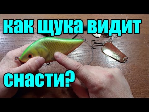 Видео: Зрение щуки.