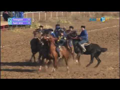Видео: Адай-ата (Ақтау) - Тайбурыл (Ақтөбе). Жастар. Көкпар. Кокпар. Актау. Актобе. buzkashi horse 2016