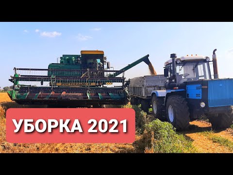 Видео: Уборка озимого  ячменя 2021 .25.06