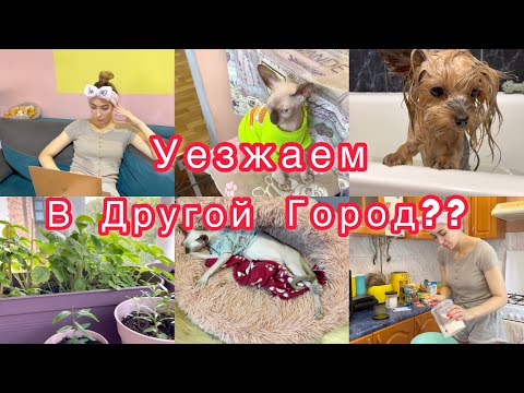 Видео: Уезжаем в другой город?? 😧 Планы поменялись😶 Банный день ❤️ VLOG