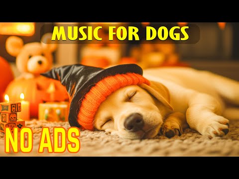 Видео: 🐶 Музыка, которая успокаивает собак | Расслабляющая музыка для снятия стресса и крепкого сна 🎵