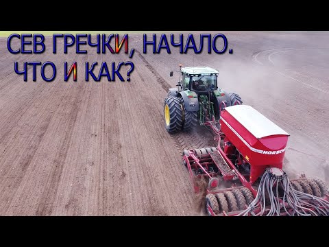 Видео: Как мы начали сеять гречку! Немного о посеве гречки.