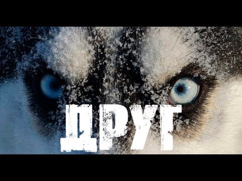 Видео: Короткометражный фильм "Друг"