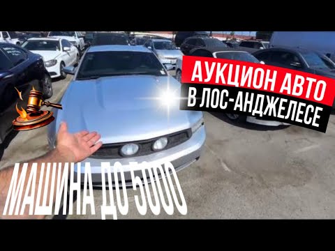 Видео: Аукцион Лос-Анджелесе . Авто до 5000$￼