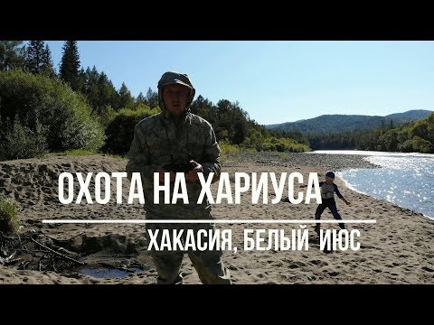 Видео: Охота на хариуса  Хакасия, Белый Июс