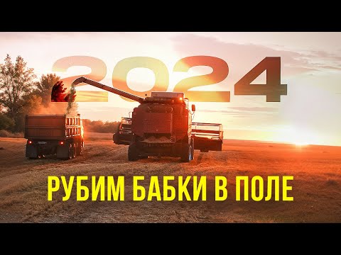 Видео: Убираем САМЫЙ ДОРОГОЙ горох и пшеницу Комбайнами. Урожай 2024.