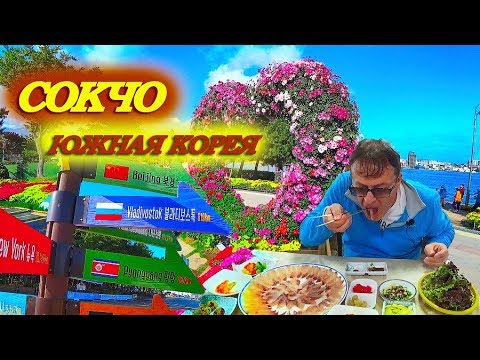 Видео: Сокчо Южная Корея Море Вид на город с высоты рыбный рынок . ENG SAB