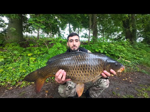 Видео: Такого клёва Я точно не ожидал, КАРПЫ КЛЮЮТ ДУПЛЕТОМ !!!