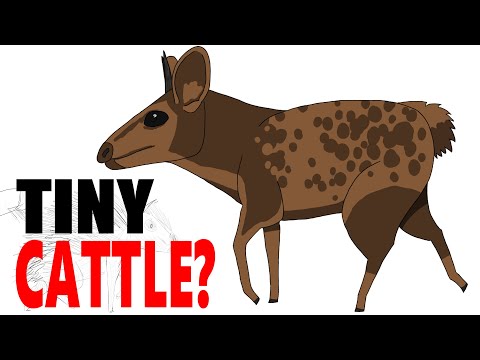 Видео: КОРОВЫ СТАНУТ МАЛЕНЬКИМИ? - Cattle Seedworld