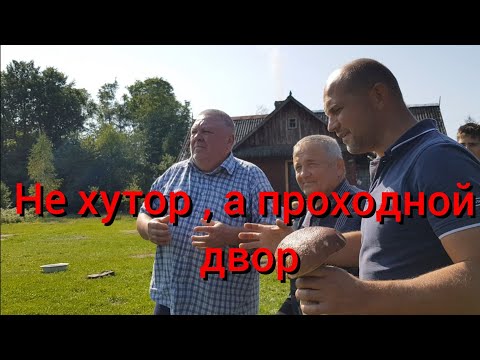 Видео: В этот день кого только на хуторе не было. Даже тёща наконец-то доехала. Грибы в лесу собрали гостей