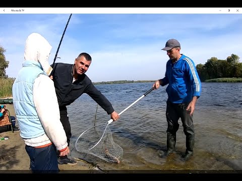 Видео: СКІЛИКИ ЛЯЩЯ Я ЩЕ НЕ ЛОВИВ, ДНІПРО КИШИТЬ ЛЯЩЯМИ, В ПРИЛОВІ САЗАН ТА СУДАК