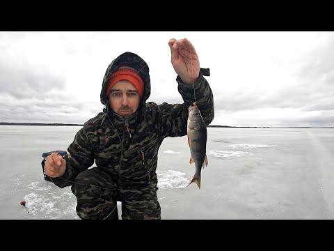 Видео: ЗАКРЫТИЕ СЕЗОНА ЗИМНЕЙ РЫБАЛКИ В КАРЕЛИИ НА ОЗЕРЕ СЯМОЗЕРО-ПАВШЕНЬЯРВИ!