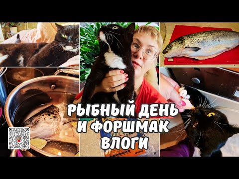 Видео: Рыбный суп.Закуска форшмак из селедки.Жарю лосось.Зацвел декабрист.День со мной.Семейный влог