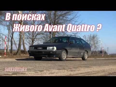 Видео: Audi 100 avant quattro, Sotkavstoke автоподбор для проекта на турбо