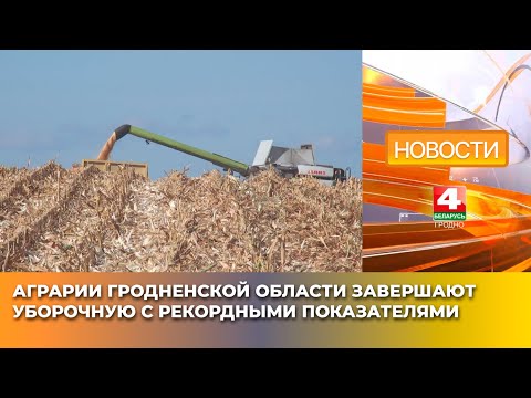 Видео: Аграрии Гродненской области завершают уборочную с рекордными показателями