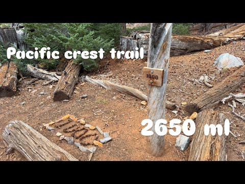 Видео: В одиночку по Америке🇺🇸! 4К! Пешком от Канады до Мексики! Часть 12  