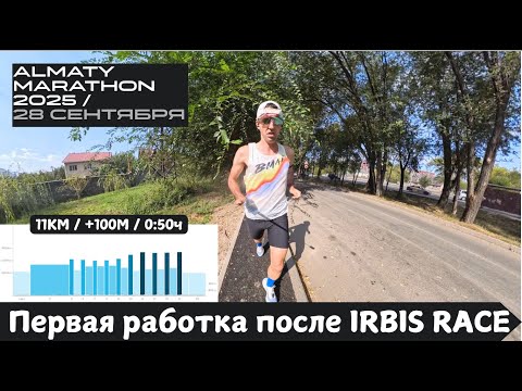 Видео: Первая работка после IRBIS RACE 🏃‍♂️ | Pedro Vizuete