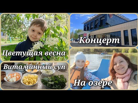 Видео: Цветущая весна🌿☀️Концерт "Перформанс"💃Суп из крапивы 🍲Прогулка на катамаране💦