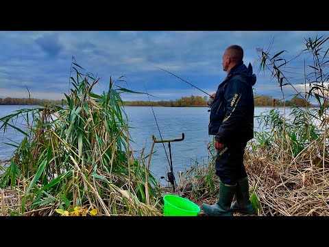 Видео: Рибалка на Пікерні вудлища в районі Кременчука!!!