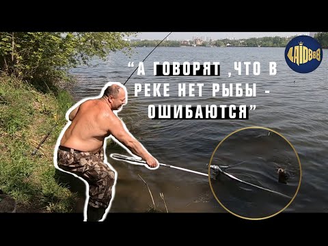 Видео: Рыбалка на Москва-реке.  Улов разных видов рыб