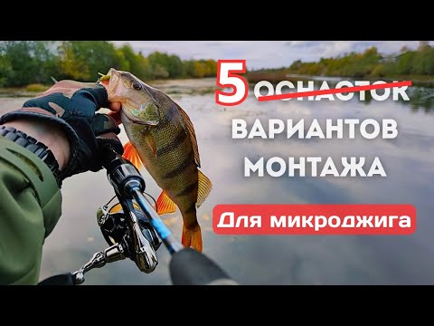 Видео: 🎣 Микроджиг для начинающих 2025 — 5 лучших монтажей + бонус | Оснастки и практика на воде