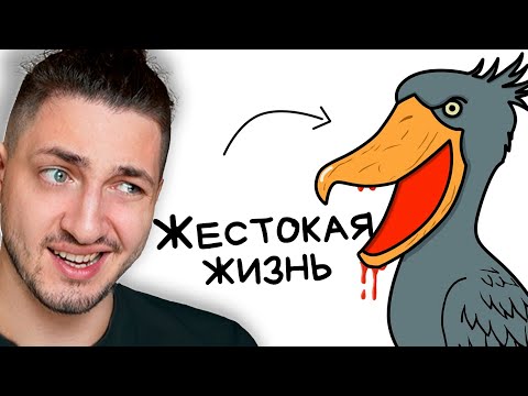 Видео: Ты - Китоглав (И ЭТО ПОЛНЫЙ ОТСТОЙ) - реакция Градуса