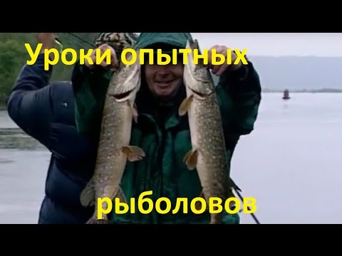 Видео: Диалоги о рыбалке -1- Уроки опытных рыболовов