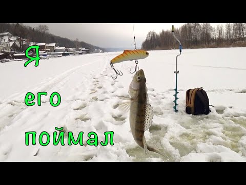 Видео: КАК ловить на ВИБЫ? Нужен совет от зрителей.