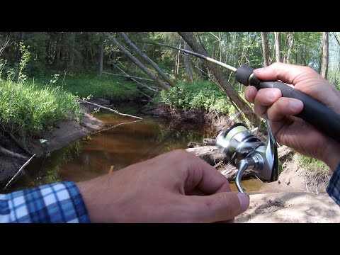 Видео: Спиннинг на лесной микроречке. Ловля окуня, ельца, ерша и плотвы на ультралайт (МИКРОДЖИГ).