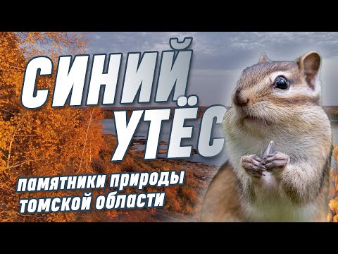 Видео: Самый красивый вид Томской области! Никого не оставит равнодушным!
