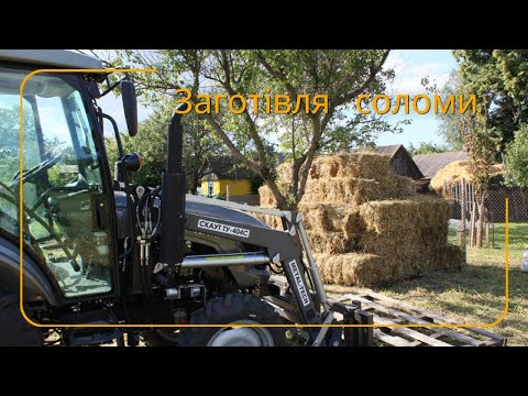 Видео: Заготівля соломи+конюшина/Зачистка подвір'я/ Початок брачного періоду у баранів