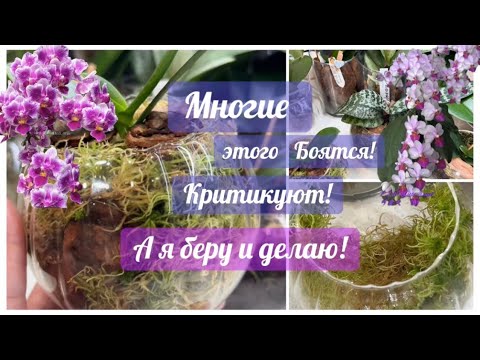 Видео: В такой ПОСАДКЕ прекрасный рост ЛИСТЬЕВ, КОРНЕЙ у #орхидеи!🙏 Круглая ваза, как достать орхидею? #fyp