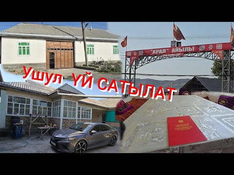 Видео: Ноокат Центрден   ҮЙ  САТЫЛАТ   баасы  айтылды 