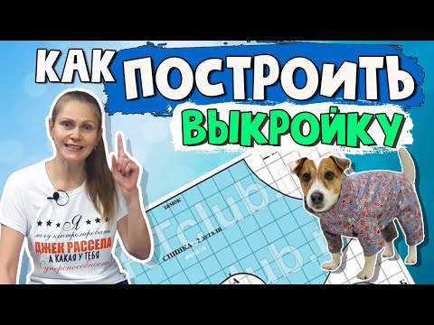 Видео: КАК ПОСТРОИТЬ ВЫКРОЙКУ комбинезона, жилета или попоны для собаки