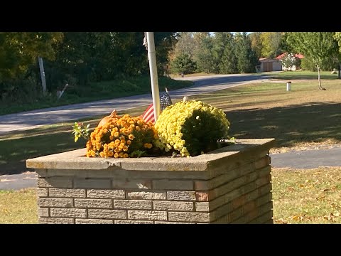 Видео: Бесплатные придорожные находки!