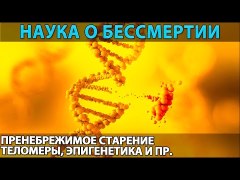 Видео: Наука о вечной жизни (теории): технический и биологический способ стать бессмертным, возможно ли?