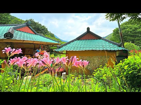Видео: Летние лилии и овощи 🌷🥒 | Визит семьи черных кошек 🐾 | Вышивка стежком | Сельский видеоблог