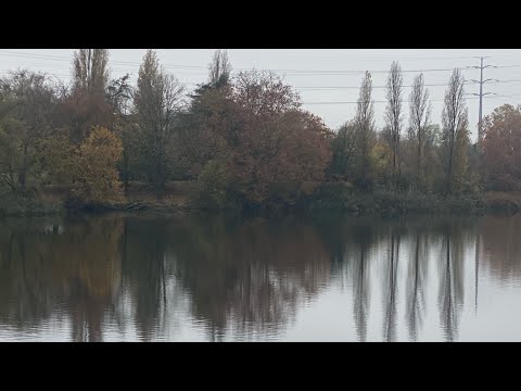 Видео: 🍁озеро Кретей🍂Осенняя прогулка🍁пригород Парижа 🍂