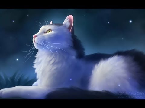 Видео: Какие песни звучат в головах Котов Воителей? 5 ЧАСТЬ!