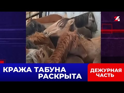Видео: «Это честная покупка!» – скотокрад придумал легенду, но не учёл смекалку полицейских. Дежурная часть