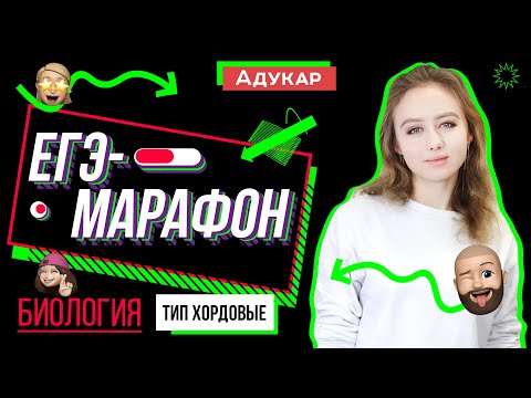 Видео: Тип Хордовые ЕГЭ-марафон | Биология