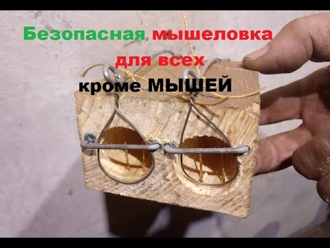 Видео: Самая безопасная для детей и животных мышеловка.