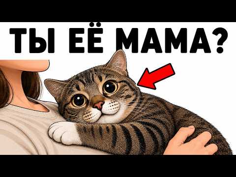 Видео: 15 Признаков, что Кошка Считает ТЕБЯ Своей МАМОЙ!