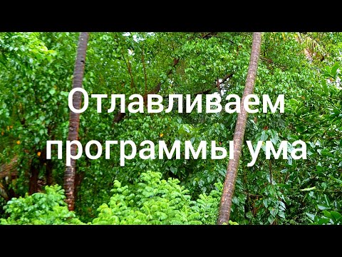 Видео: Техника перепрошивки программ ума. Выход из Матрицы