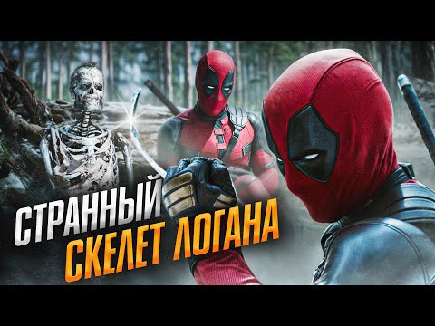 Видео: Очень странный скелет Росомахи